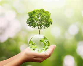 vecteezy_tree-growing-from-globe_1309844 vecteezy_tree-growing-from-globe_1309844