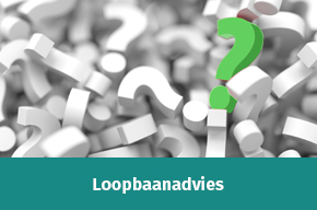 Loopbaanadvies widget